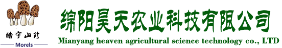&#72;&#74;&#67;&#40644;&#37329;&#22478;