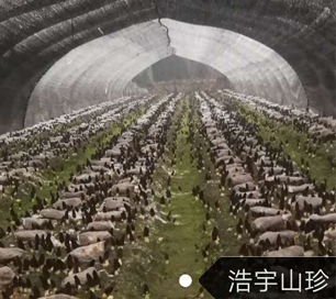 &#72;&#74;&#67;&#40644;&#37329;&#22478;