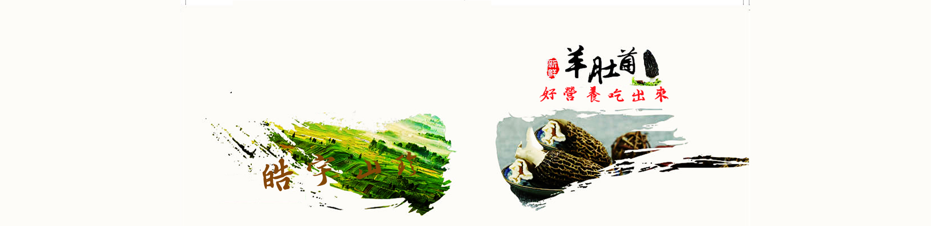 &#72;&#74;&#67;&#40644;&#37329;&#22478;