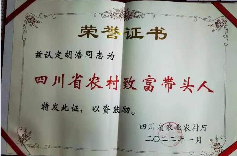&#72;&#74;&#67;&#40644;&#37329;&#22478;